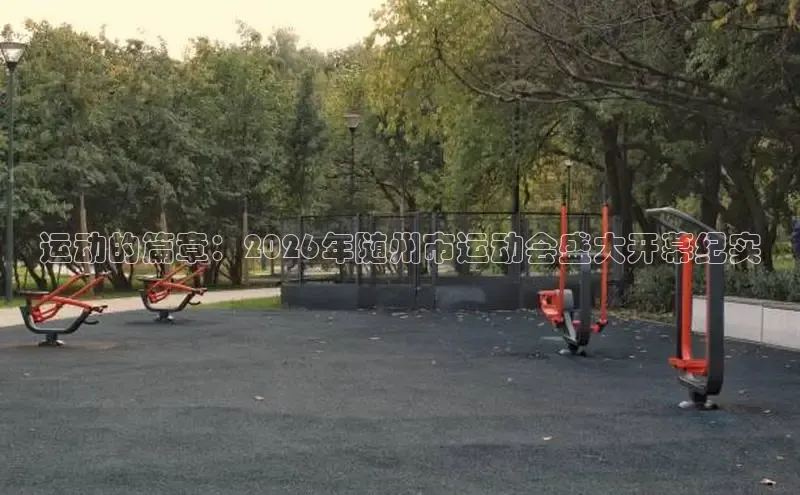 谈球吧中国体育官网入口